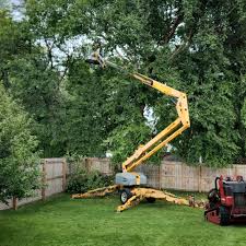 Best Aeration Services  in Minco, OK