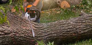 Best Lawn Irrigation Installation and Maintenance  in Minco, OK