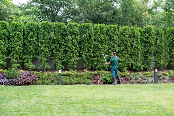 Best Lawn Watering Services  in Minco, OK