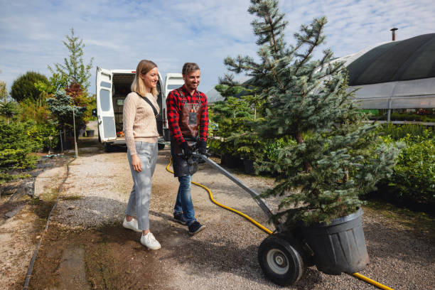 Best Fruit Tree Pruning  in Minco, OK