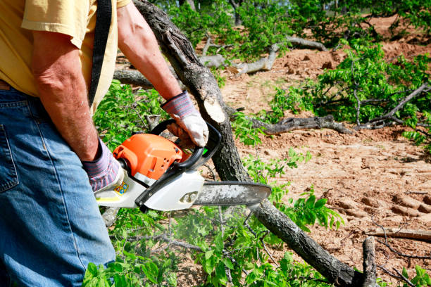 Best Weed Control  in Minco, OK